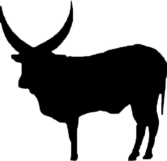 scrolling-banner-oudalan.png